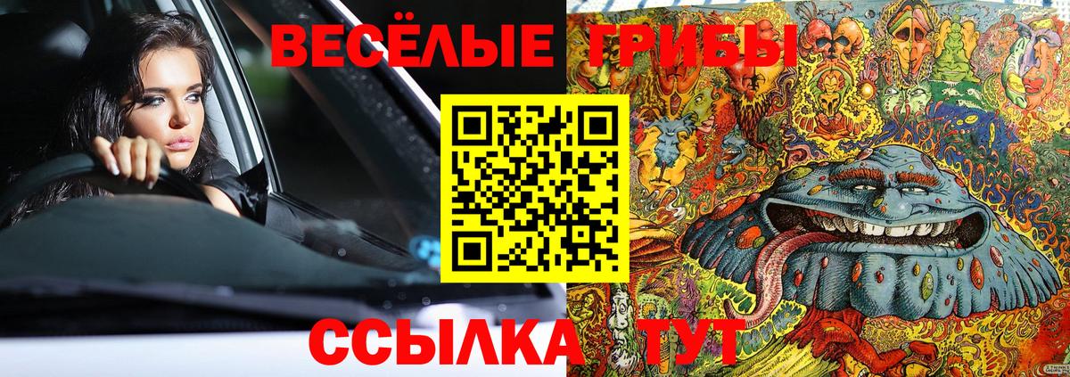 Нижнекамск  наркошоп  Вход с VPN  Псилоцибиновые грибы мицелий 
